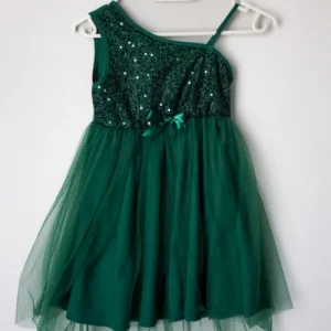 Enchanted Forest Fairy